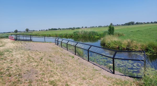 Otterpassages in Lopik en Kockengen